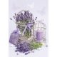 Farbe Cage Lavendel A/4 Gummimappe