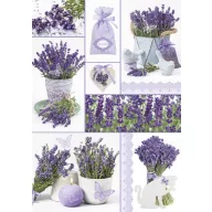 Farbe Moments Lavendel A/4 Gummimappe