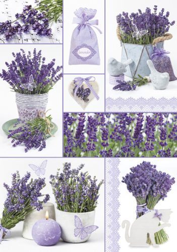 Farbe Moments Lavendel A/4 Gummimappe