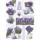 Farbe Moments Lavendel A/4 Gummimappe