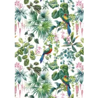 Farbe Parrot Natur A/4 Gummiband-Ordner