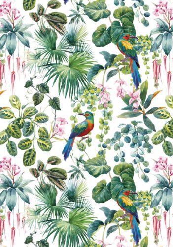 Farbe Parrot Natur A/4 Gummiband-Ordner