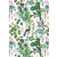 Farbe Parrot Natur A/4 Gummiband-Ordner