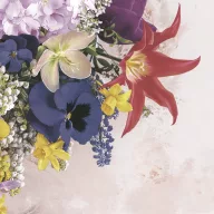 Blume Charming Mix Serviette 20 Stk. 33x33 cm