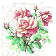 Blume Subtle Classic Rosentücherserviette 20 Stk. 33x33 cm