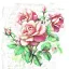 Blume Subtle Classic Rosentücherserviette 20 Stk. 33x33 cm