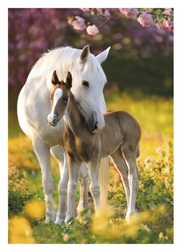 Pferd Spring Foal A/4 Gummibandordner