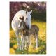 Pferd Spring Foal A/4 Gummibandordner