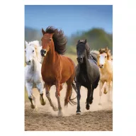 Pferd Freedom A/4 Gummibandordner
