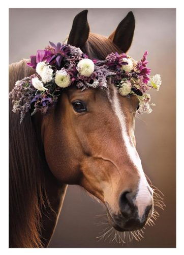Pferd Wreath A/4 Gummibandordner