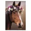 Pferd Wreath A/4 Gummibandordner