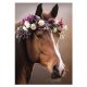 Pferd Wreath A/4 Gummibandordner