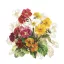 Blume Vintage Primrose Serviette 20er Pack 33x33 cm