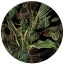 Blume Exotic Blatt Papierteller 8er-Set, 18 cm
