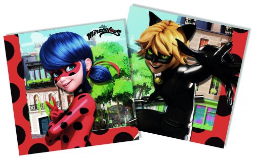 Miraculous Geschichten von Ladybug und Cat Noir Hero Serviette 20 Stück 33x33 cm