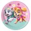 Paw Patrol Skye and Everest Papierteller 8 Stk. 23 cm FSC