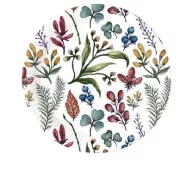 Blume Herbs Pappteller 8 Stück 23 cm