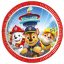 Paw Patrol Rescue Heroes Pappteller 8 Stk. 20 cm FSC