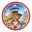 Paw Patrol Rescue Heroes Papierteller 8 Stk 23 cm FSC