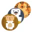 Tiere Zoo Pappteller 8 Stk 23 cm FSC
