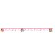 Disney Prinzessin Create Your World Happy Birthday Schriftzug FSC 2 m