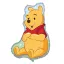 Disney Winnie Puuh Loves Nature Folienballon 76x102 cm