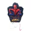 Spiderman World of Web 3D Pinata