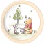 Disney Winnie Puuh Loves Nature Papierteller 8 Stück 23 cm FSC