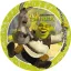 Shrek Adventure Pappteller 8er Pack 23 cm FSC