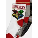 Harry Potter Kinder Socken 23-34