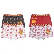 Harry Potter Kinder Boxershorts 2 Stück/Packung