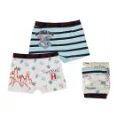 Harry Potter Kinder Boxershorts 2 Stück/Packung