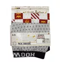 Harry Potter Kinder-Boxershorts 2 Stück/Paket