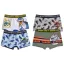 Jurassic World Kinder Boxershorts 2 Stück/Packung