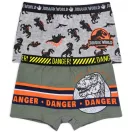 Jurassic World Kinder Boxershorts 2 Stück/Packung