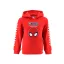 Spiderman Beware of Danger Kinder Kapuzenpullover 3 - 8 Jahre / 98 - 128 cm