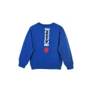 Spiderman Beware Kinderpullover 3 - 8 Jahre / 98 - 128 cm