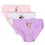 Disney Minnie  Purple  Kinderunterwäsche, Slips 3 Stück/Paket 3 - 8 Jahre / 98 - 128 cm