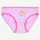 Paw Patrol Butterfly Kinderunterwäsche, Panties 3 Stück/Paket 3 - 6 Jahre / 98 - 116 cm