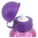 Disney Prinzessin Bright Aluminiumflasche 400 ml