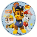 Paw Patrol Boy Icons Porzellan-Geschirrset in Geschenkkarton