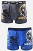 Batman Herren Boxershorts 2 Stück/Pack (S-XL)