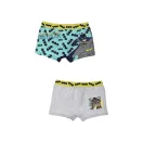 Batman Kinder-Boxershorts 2 Stück/Packung