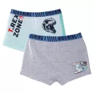 Jurassic World Kinder Boxershorts 2 Stück/Packung