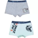 Jurassic World Kinder Boxershorts 2 Stück/Packung
