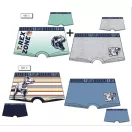 Jurassic World Kinder Boxershorts 2 Stück/Packung