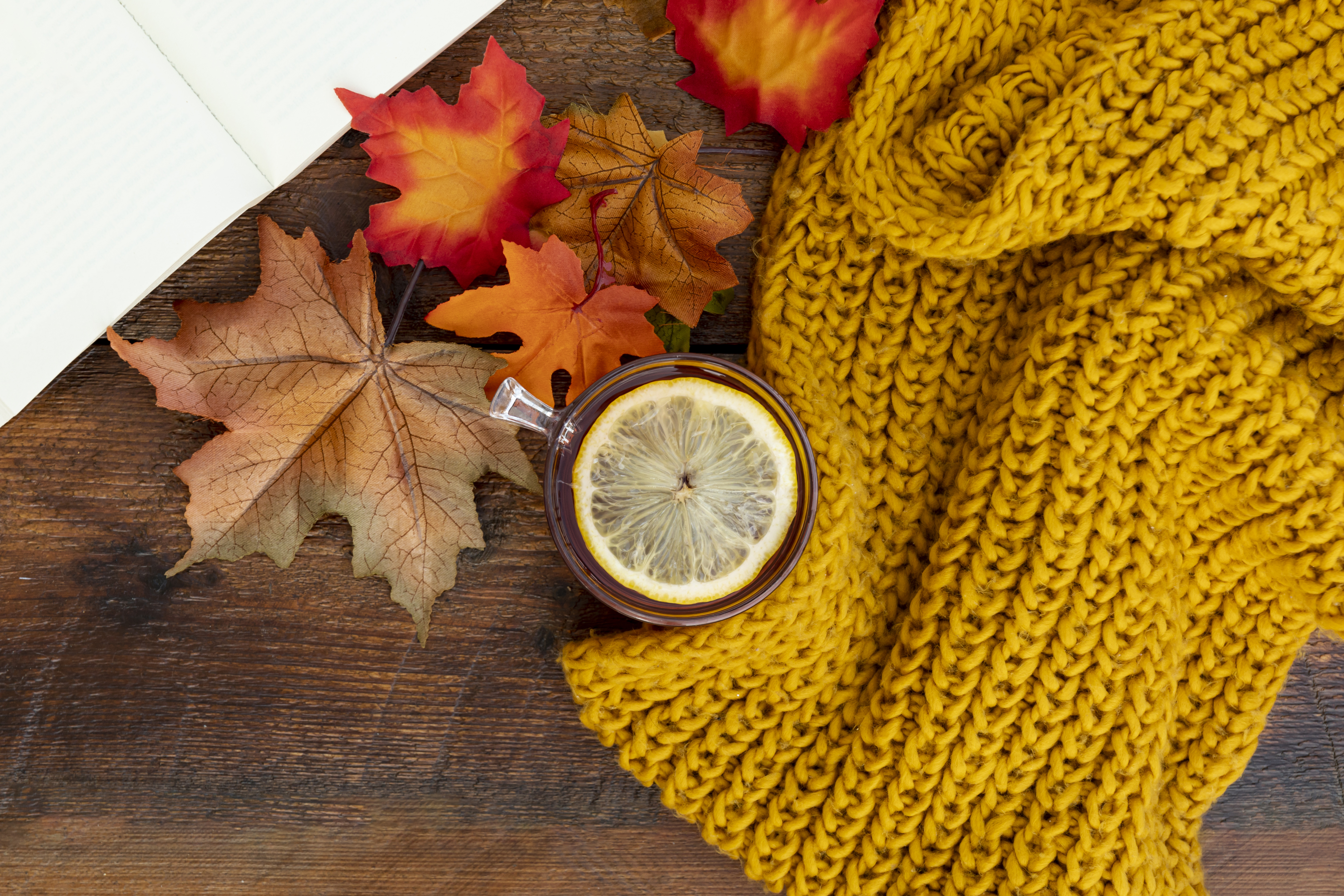 Es ist Zeit für ein Kleiderschrank-Update, machen Sie sich mit uns bereit für den Herbst!